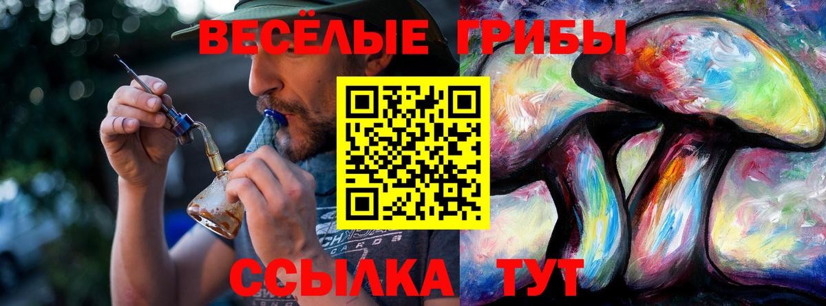 Псилоцибиновые грибы Cubensis  Галлюциногенные грибы ЛСД  Кириши  Вход с VPN 